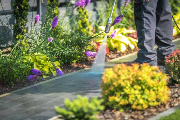 Half Moon, NC Pressure Washing Services Company
